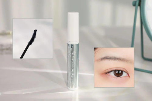 不需要種睫毛了 我過年有這幾只睫毛膏就夠了